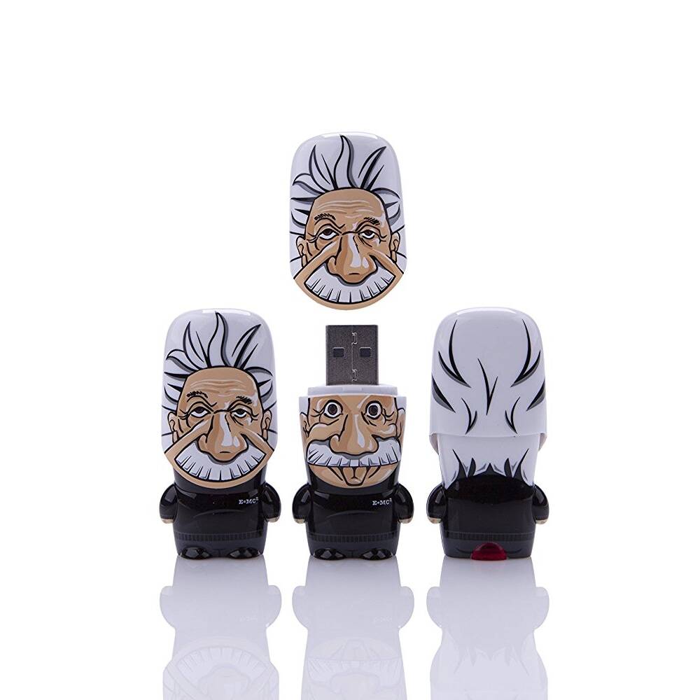 8GB Einstein USB Flash Drive - coolthings.us