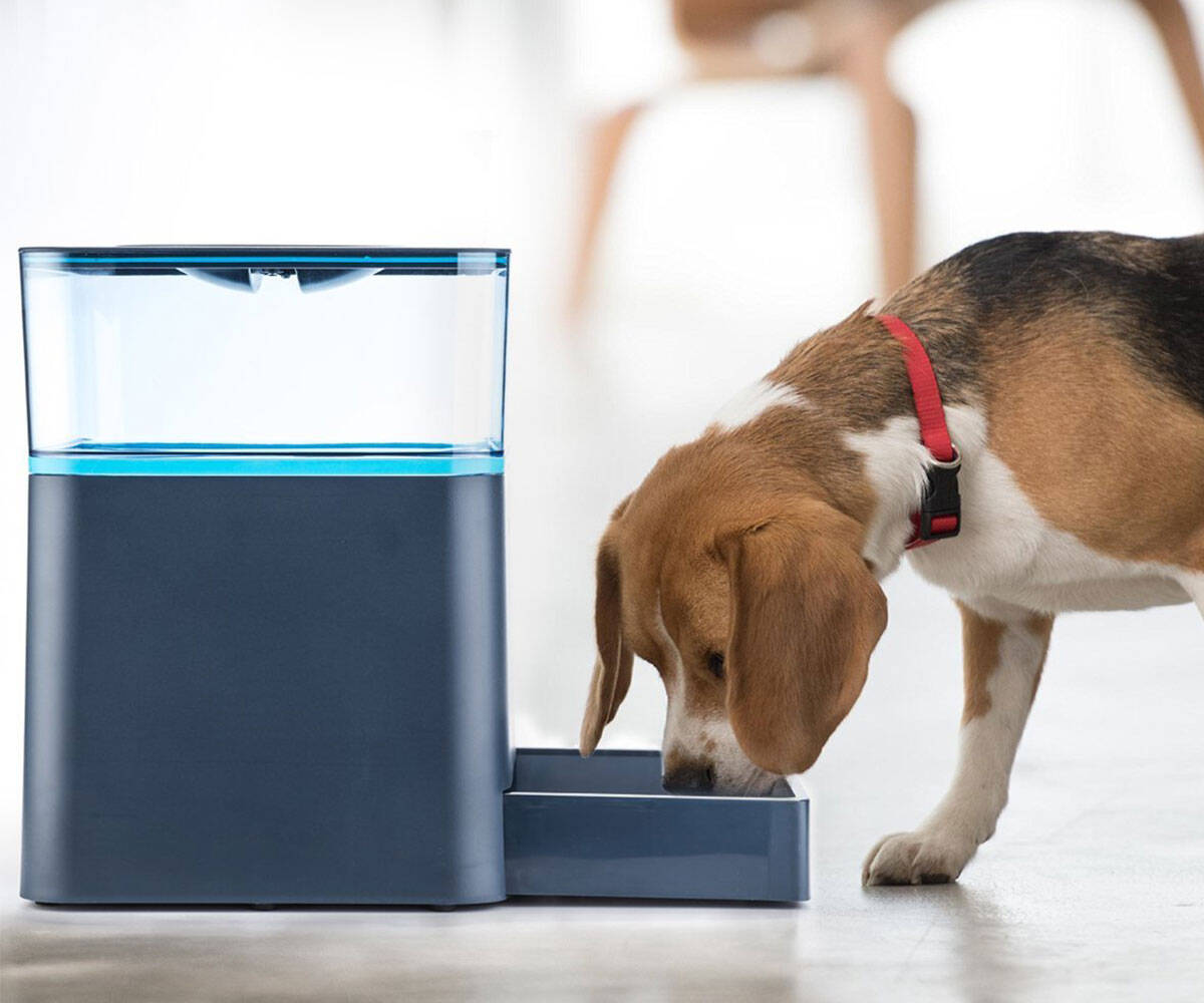 Babadio Automatic Pet Feeder