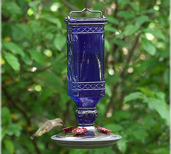 Blue Bottle Hummingbird Feeder - coolthings.us