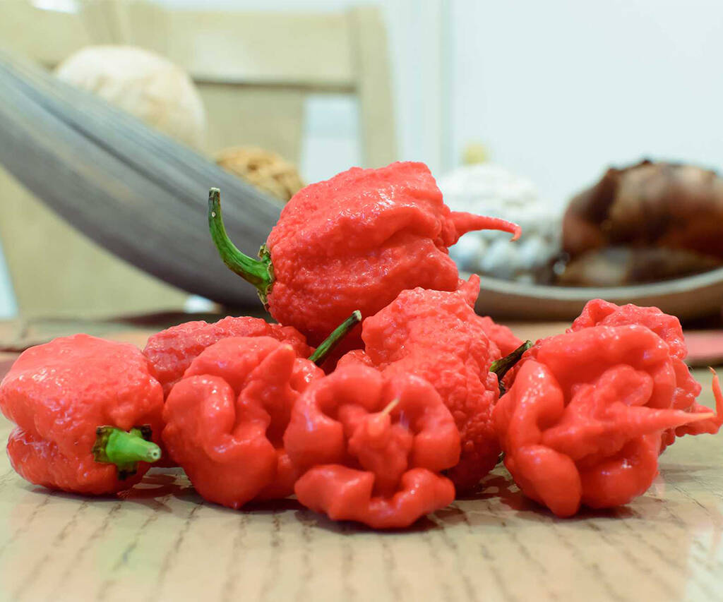 Carolina Reaper the Worlds Hottest Pepper - //coolthings.us
