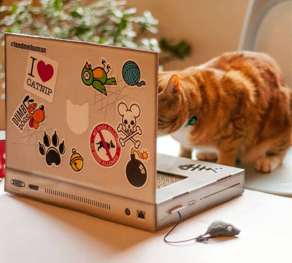 The Cat Scratch Laptop a Toy Laptop for Cats - coolthings.us