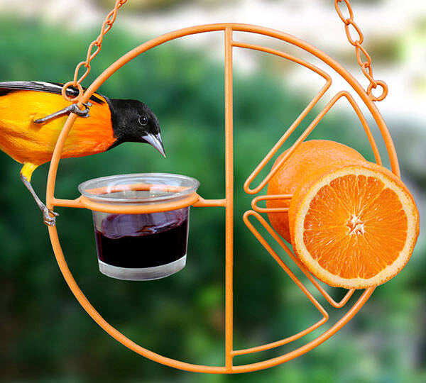 Clementine Oriole Bird Feeder - coolthings.us