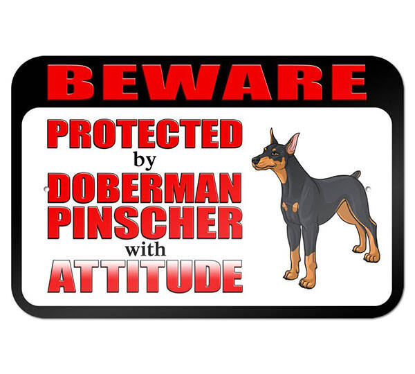 Doberman Pinscher with Attitude - //coolthings.us