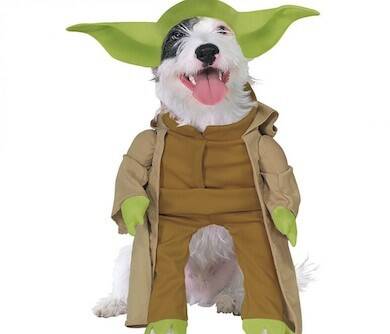Dog Yoda Costume - //coolthings.us