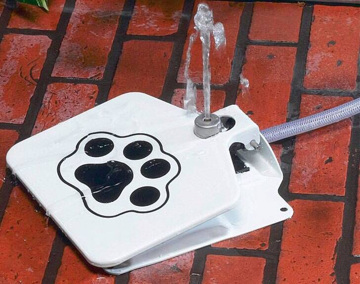 Doggie Pedal Water Fountain