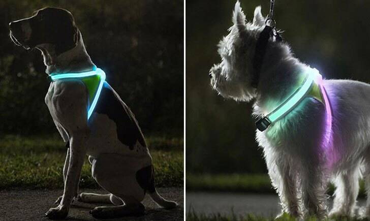 Illuminated And Reflective Dog Vest - coolthings.us