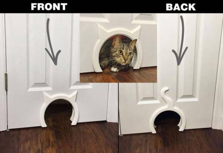 Kitty Pass Interior Cat Door