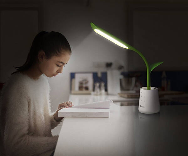 Leaf Pot Desk Lamp