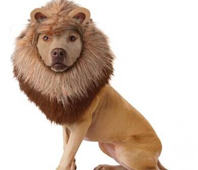 Lion Dog Costume - coolthings.us