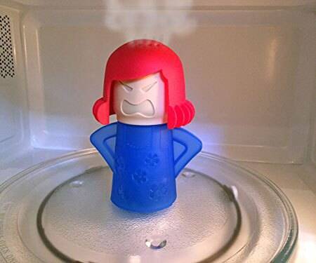 Microwave Steam Cleaner - //coolthings.us