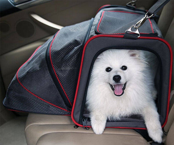 Petsfit Expandable Foldable Pet Carrier