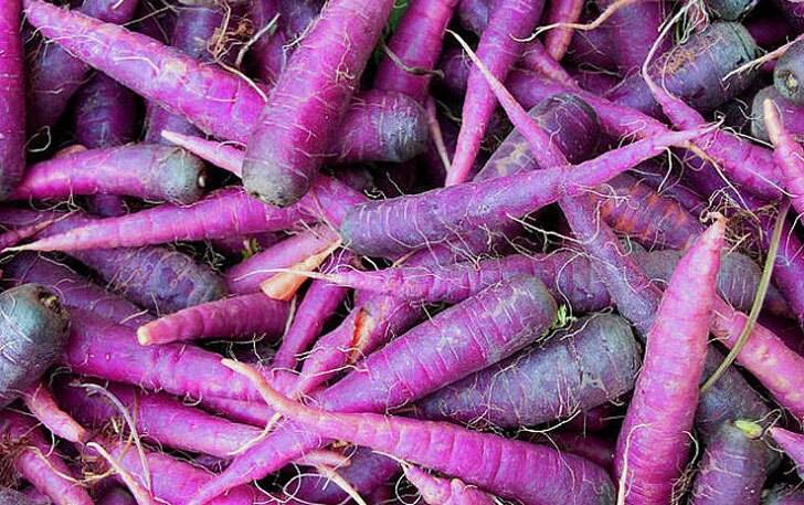 Purple Carrots - coolthings.us