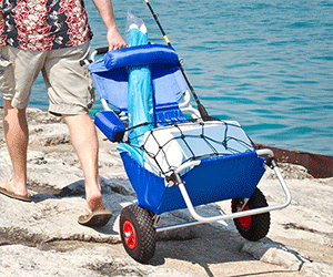 Folding Beach Chair & Roller Cart - coolthings.us