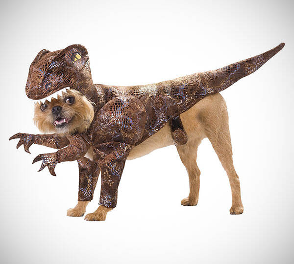 Raptor Dog Costume - coolthings.us