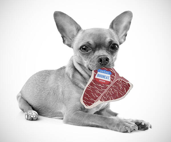 T-Bone Steak Dog Meat - //coolthings.us