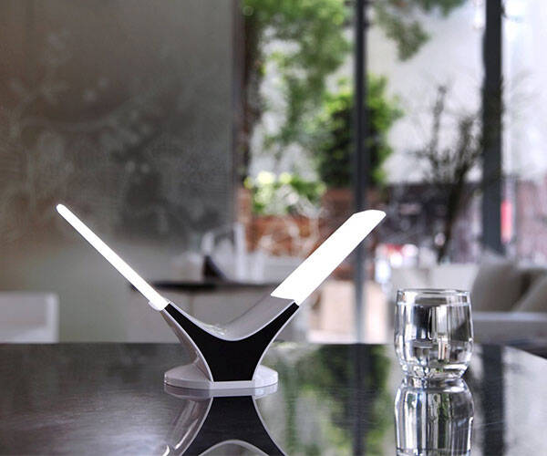 Table Twins LED Desk Lamp