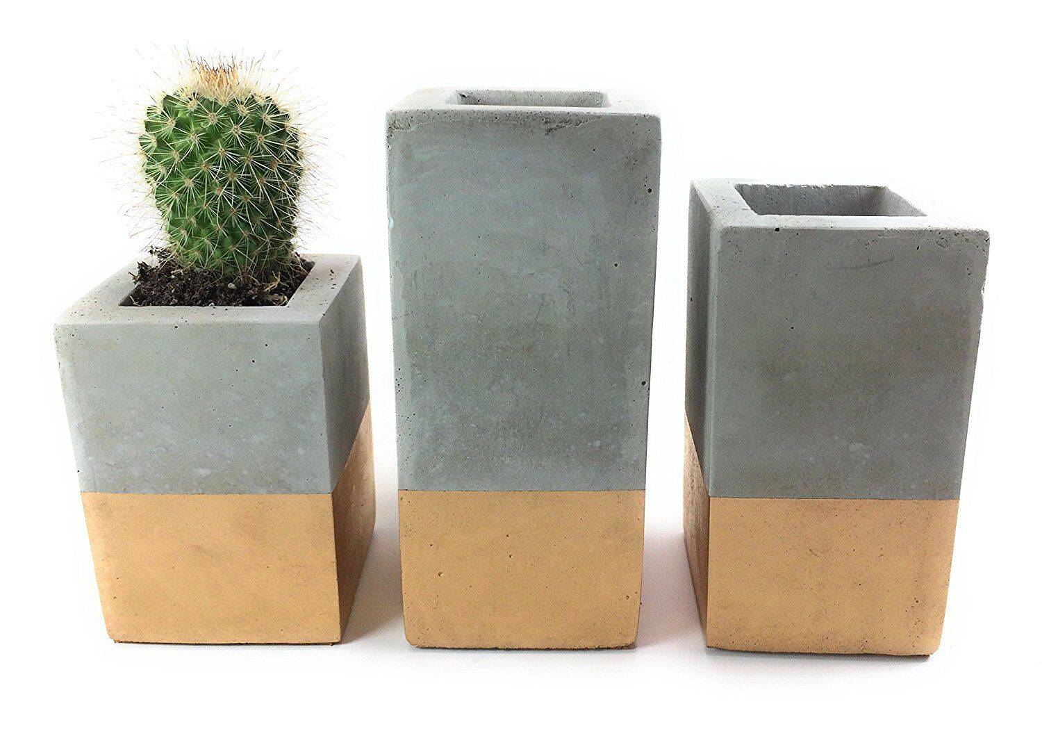 The Only Square Concrete Succulent Planters you Need for your Patio/ Veranda or Garden!