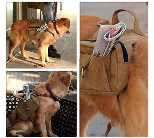 Travel Dog Backpack