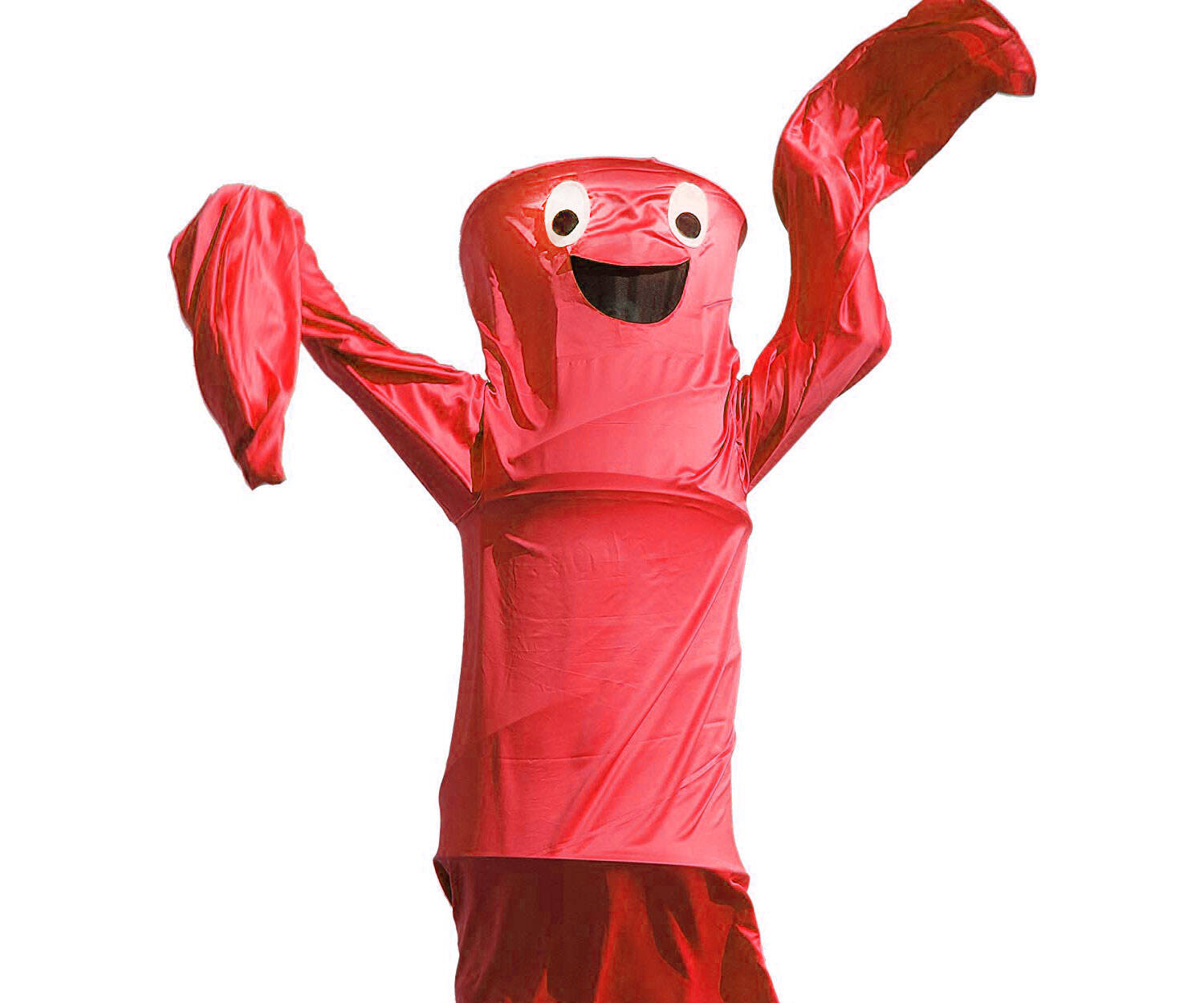 Wacky Waving Tube Man Costume - coolthings.us