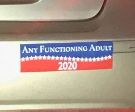 Any Functioning Adult Bumper Sticker - //coolthings.us