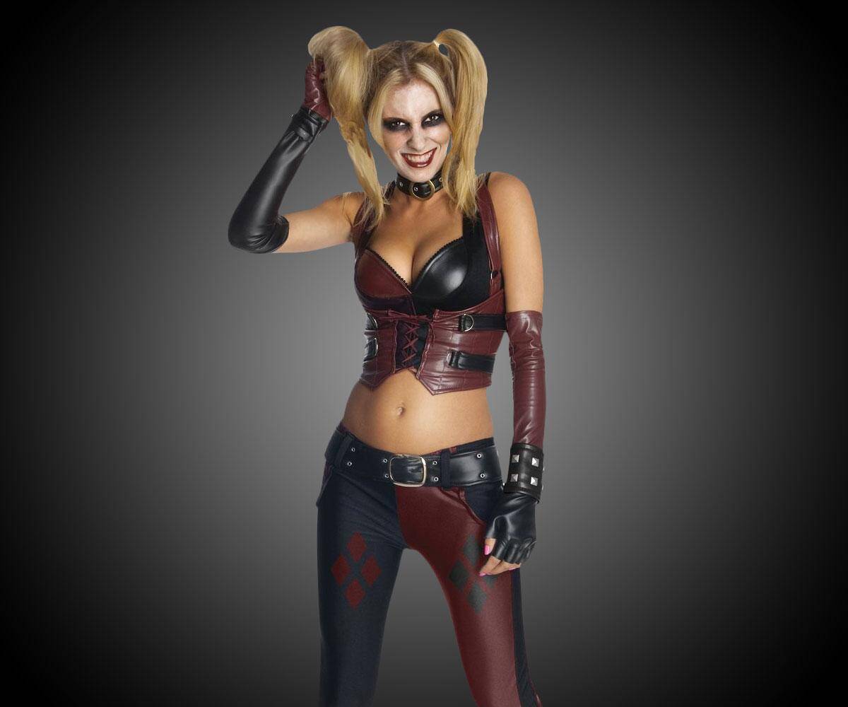 Arkham City Harley Quinn Costume - //coolthings.us