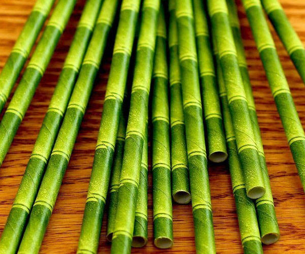 Bamboo Straws - http://coolthings.us