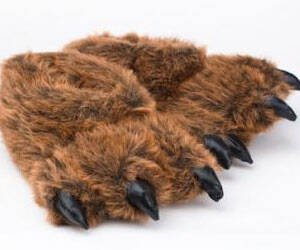 Bear Feet Slippers