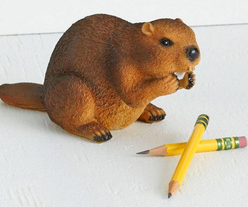 Beaver Pencil Sharpener