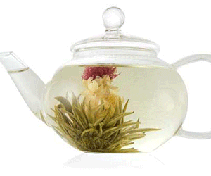 Blooming Tea Flower - coolthings.us