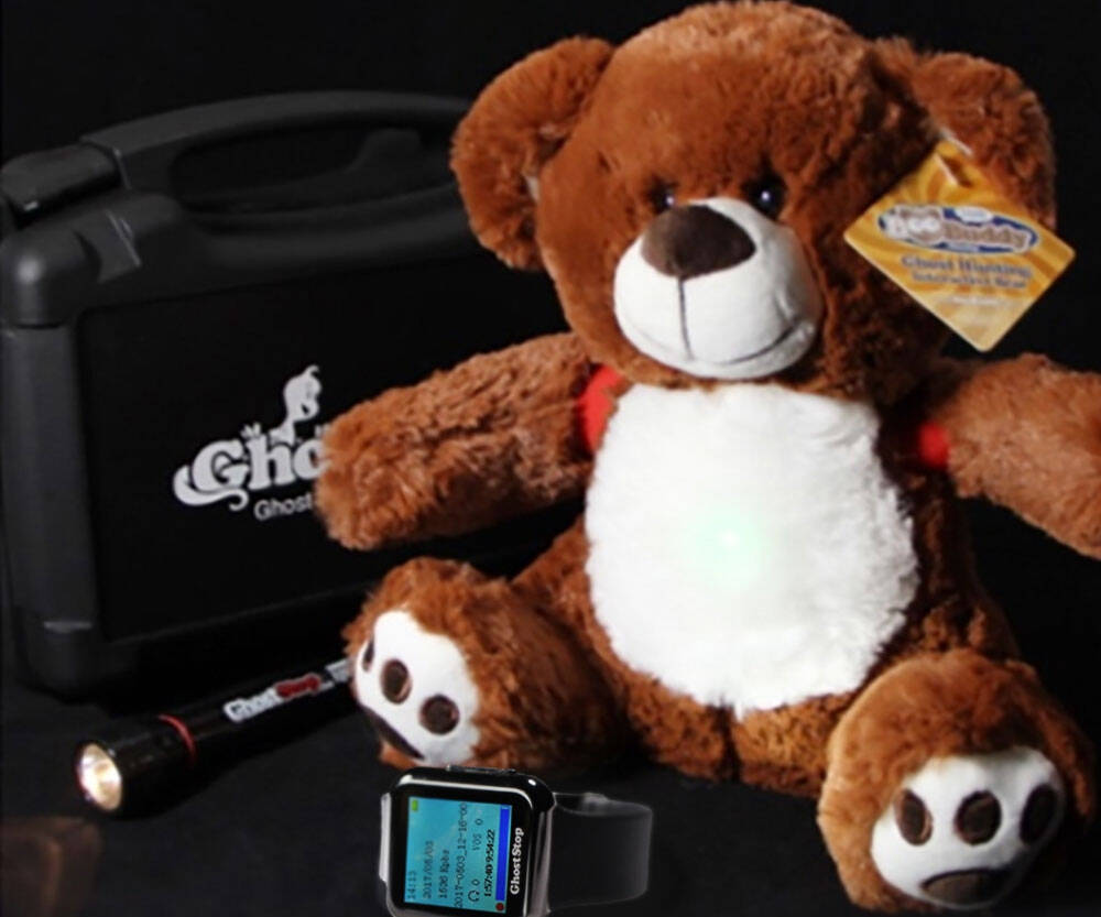 BooBuddy Interactive Ghost Hunting Bear