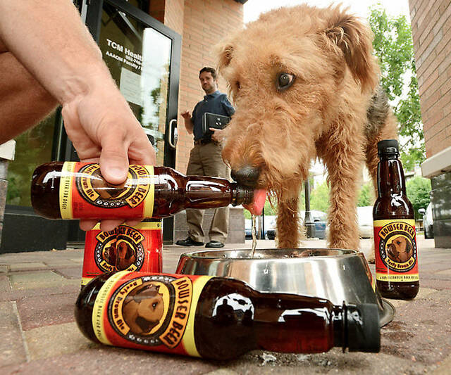 Bowser Beer for Dogs - coolthings.us