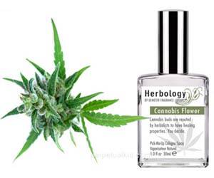 Cannabis Flower Cologne - http://coolthings.us