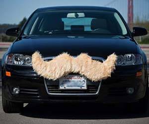 Car Mustache