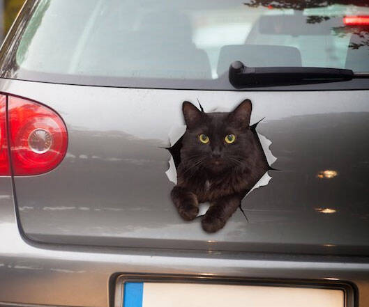 3D Cat Car Decal - //coolthings.us