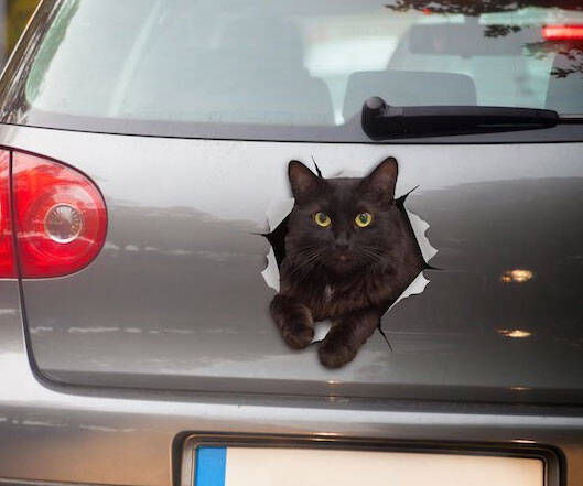 3D Cat Car Decal