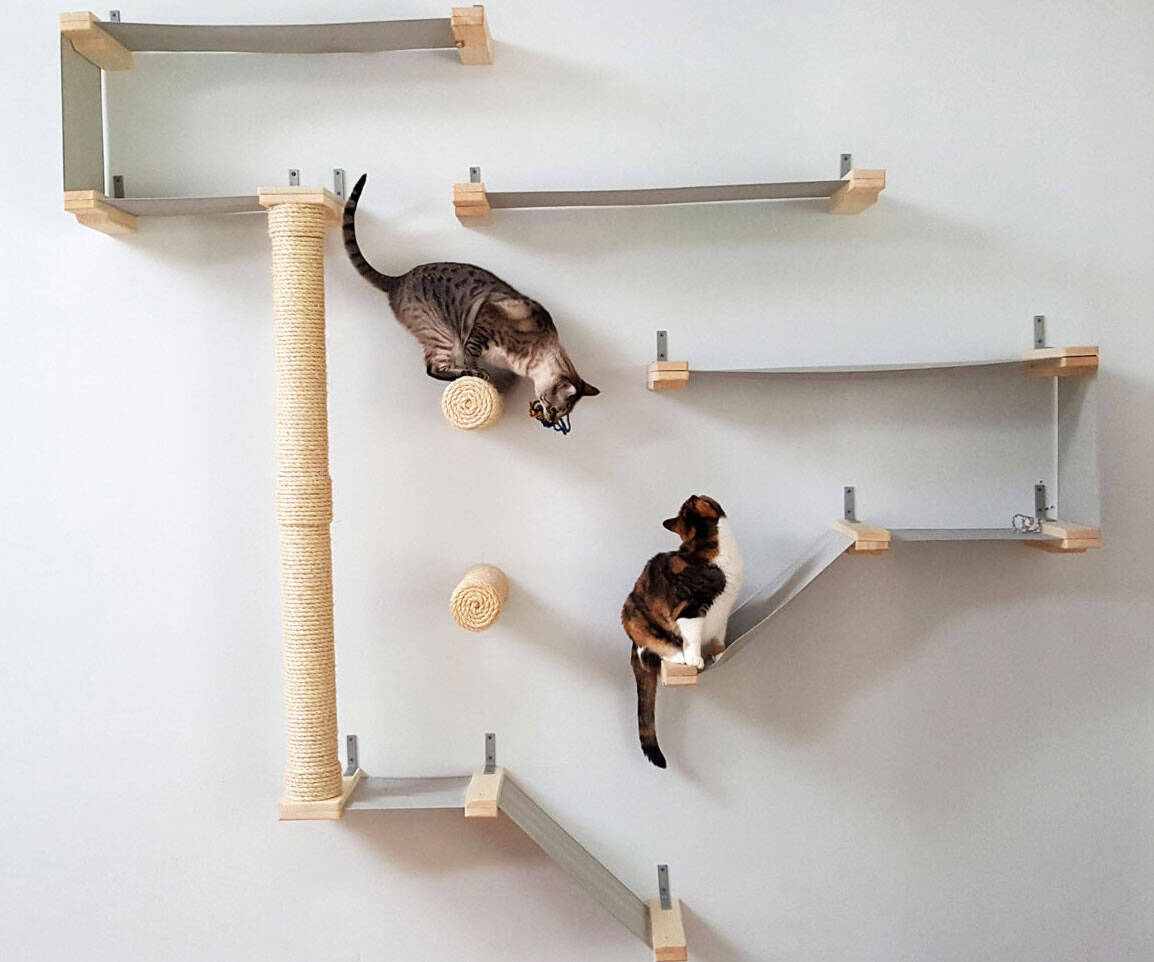 Cat Hammock Activity Center - //coolthings.us