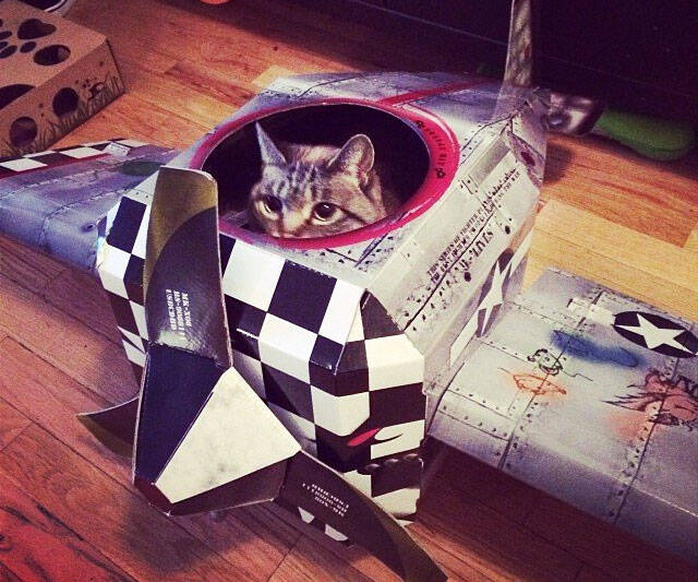 Cardboard Plane Cat Playhouse - coolthings.us