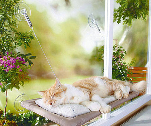 Original Kitty Cot Cat Perch - //coolthings.us