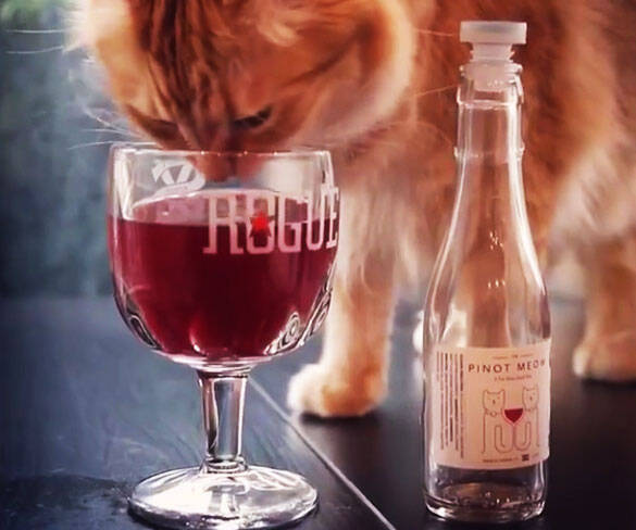 Catnip Cat Wine - coolthings.us