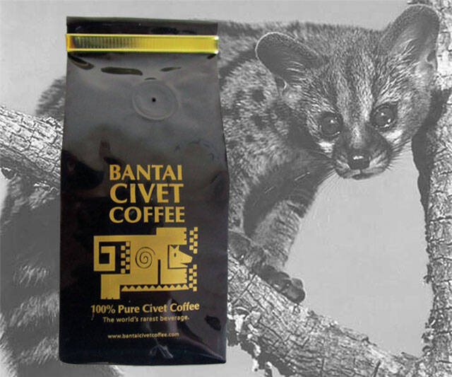 Civet Sh*t Coffee Beans - coolthings.us