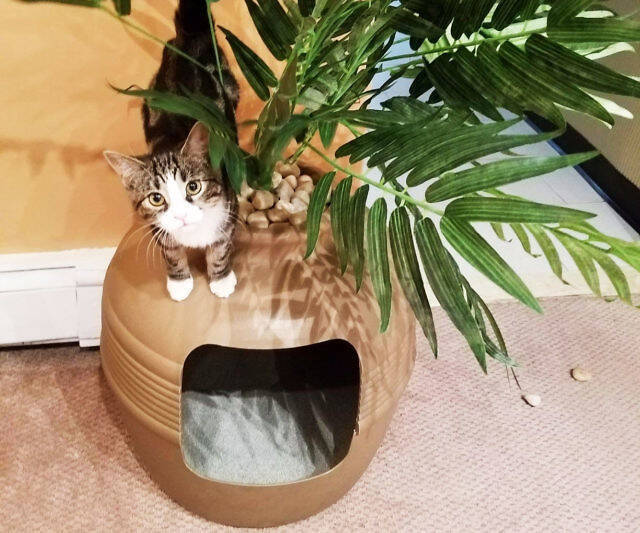 Clay Planter Hidden Cat Litter Box - http://coolthings.us