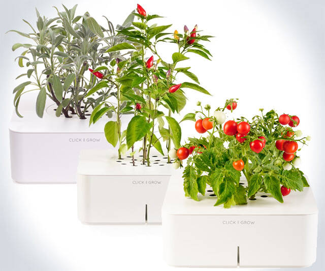 Click & Grow SmartPot Plants