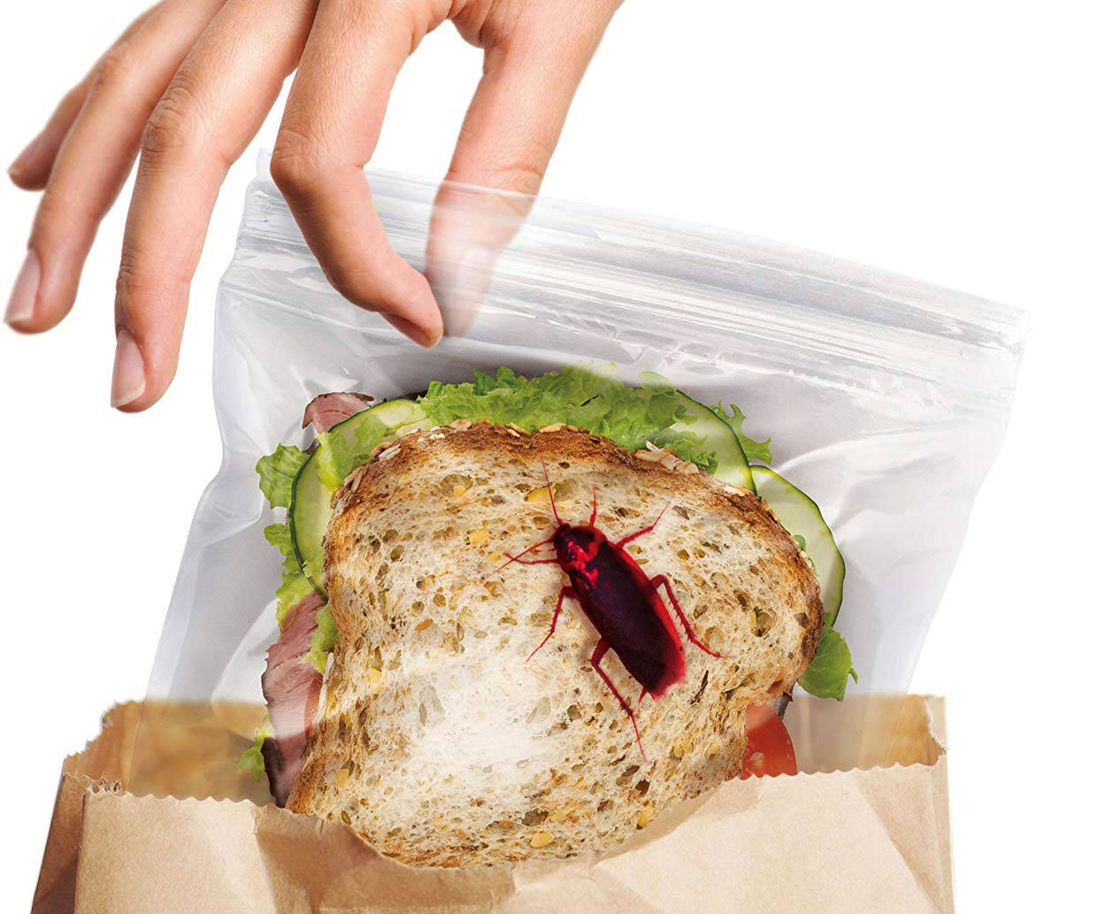 Crawling Insects Sandwich Bags - coolthings.us