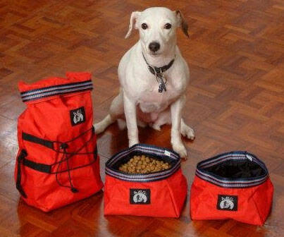 Collapsible Travel Dog Bowls - coolthings.us