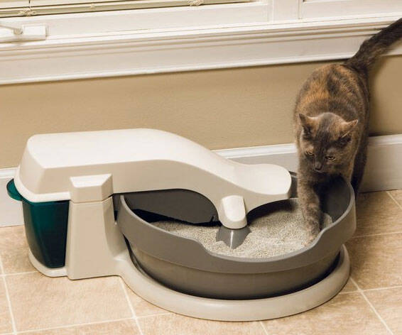 Continuous Cleaning Litter Box - coolthings.us