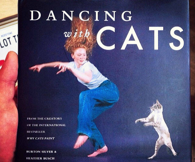 Dancing With Cats Book - //coolthings.us