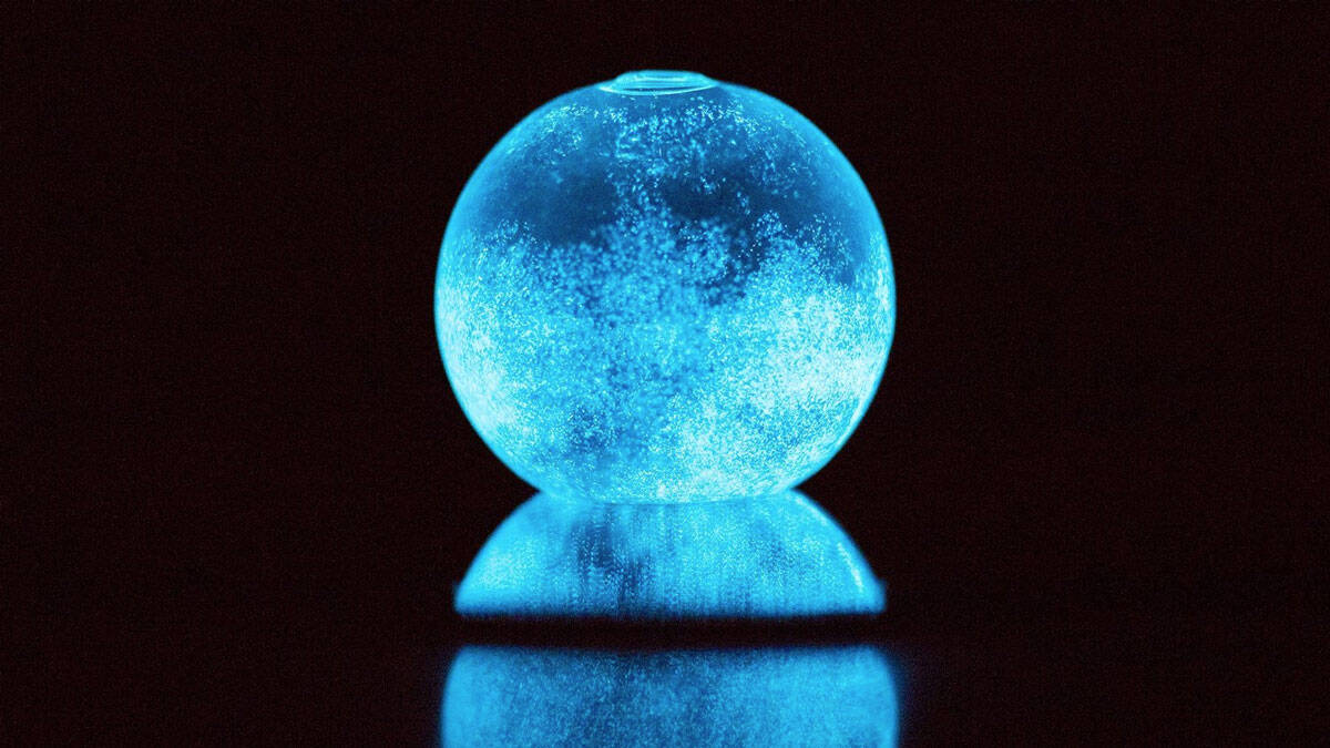 Dino Bioluminescent Plankton Sphere