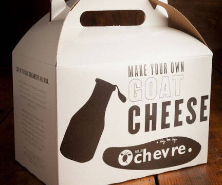 DIY Goat Cheese Kit