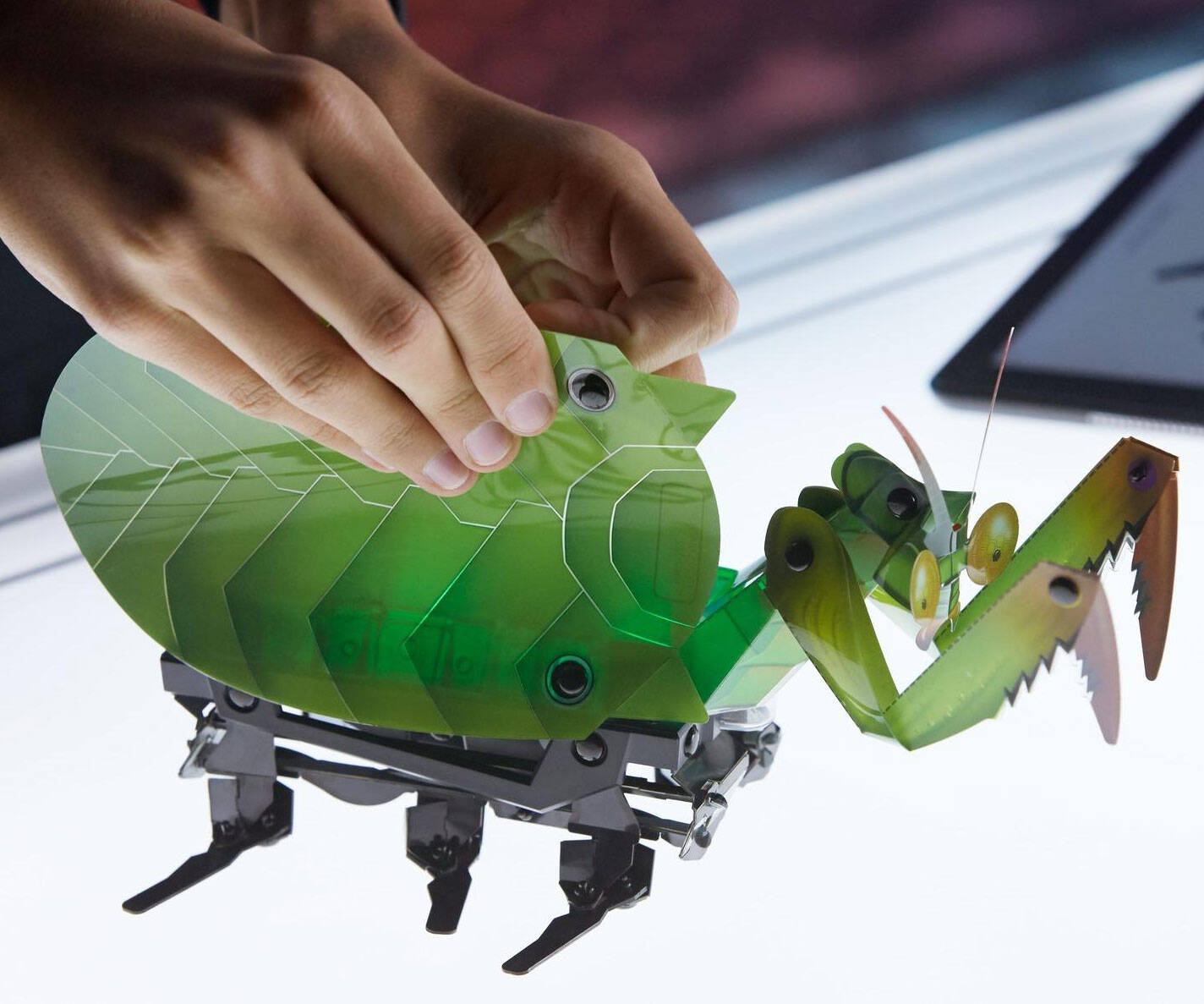 DIY Robot Critters - coolthings.us