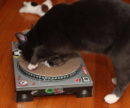 Cat Scratching DJ Deck - //coolthings.us